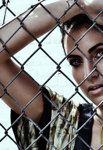 Fence
